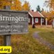gärningen